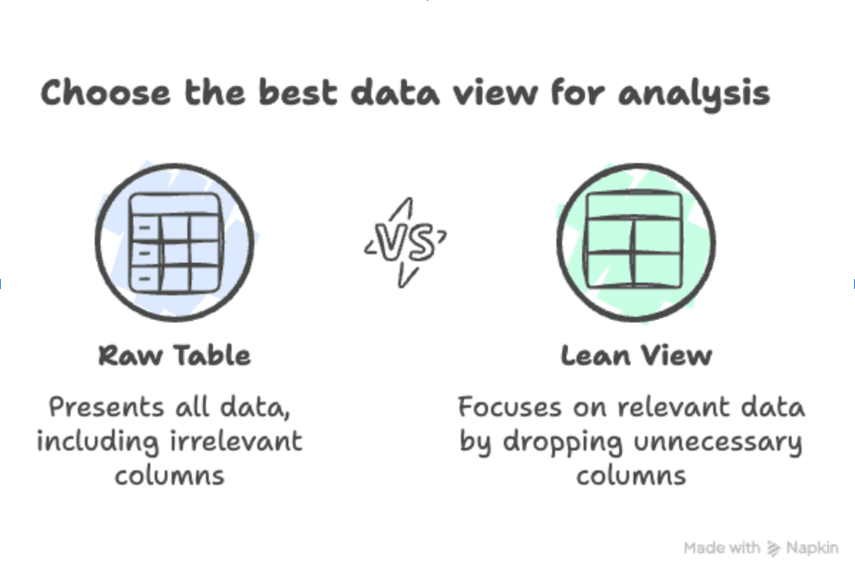 Choosing data view for analysis.png